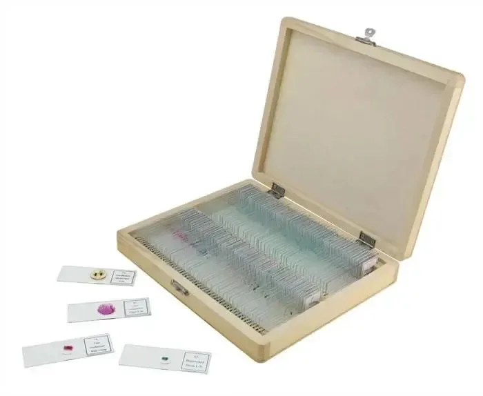 Kit combinado de preparação para microscópio X 100 Beige (estojo)