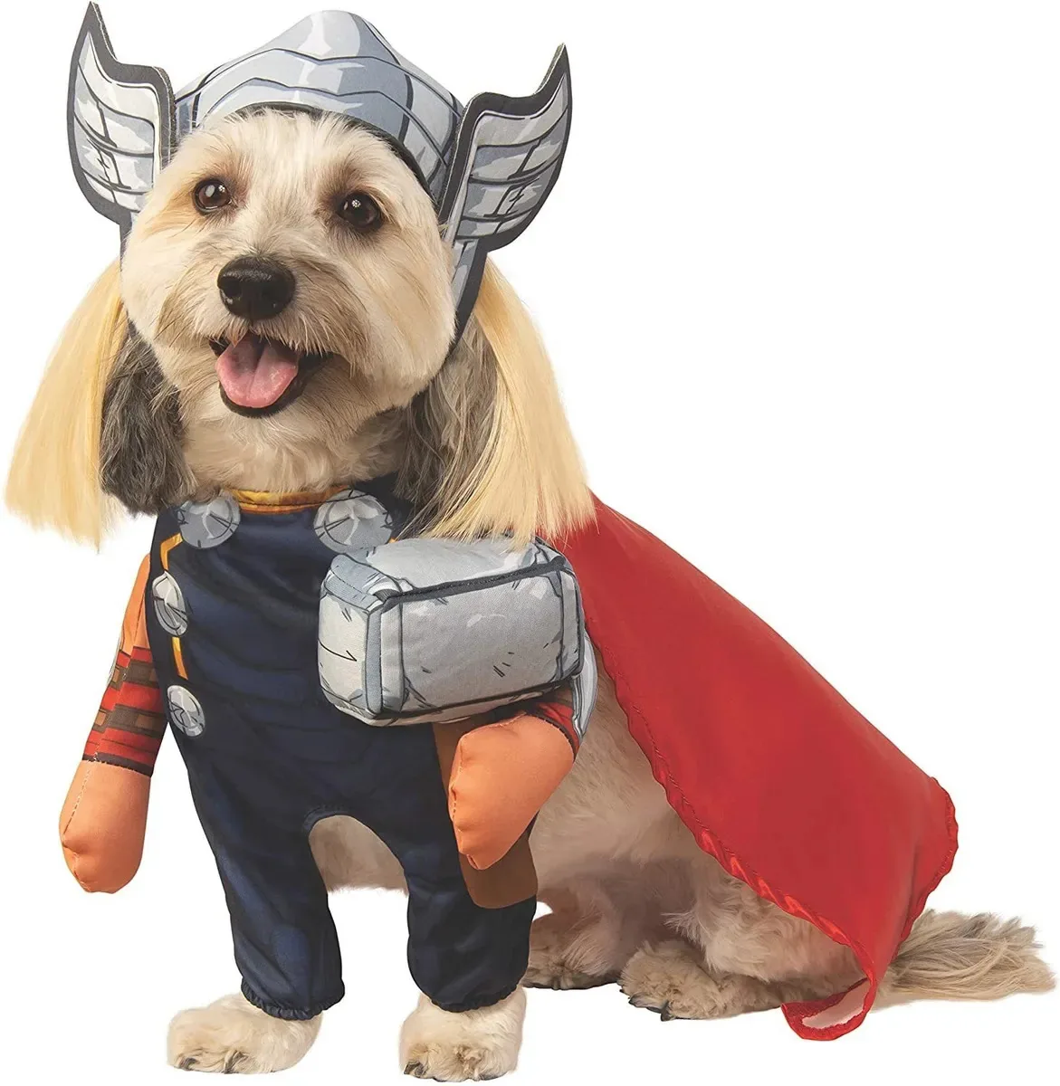 Fantasia para animais de estimação Rubie's Thor