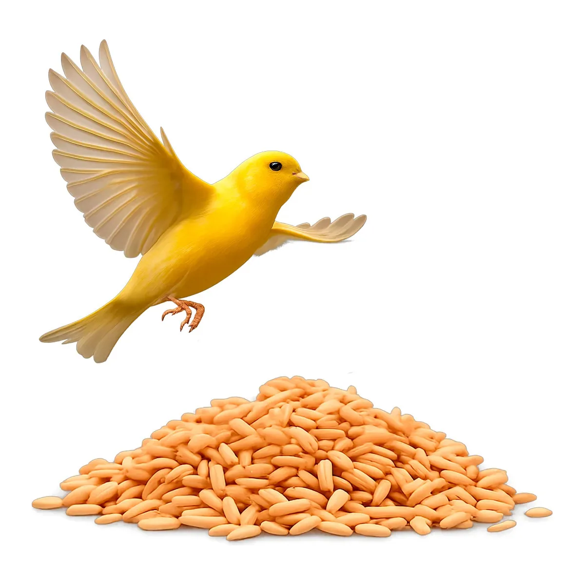 Alpiste Polido Limpo Para Aves E Pássaros 3kg Sementes Naturais Selecionadas, Nutritivas E De Alta Qualidade, Ideais Para Canários, Calopsitas, Periquitos E Outras Espécies, Embalagem Econômica E Pr