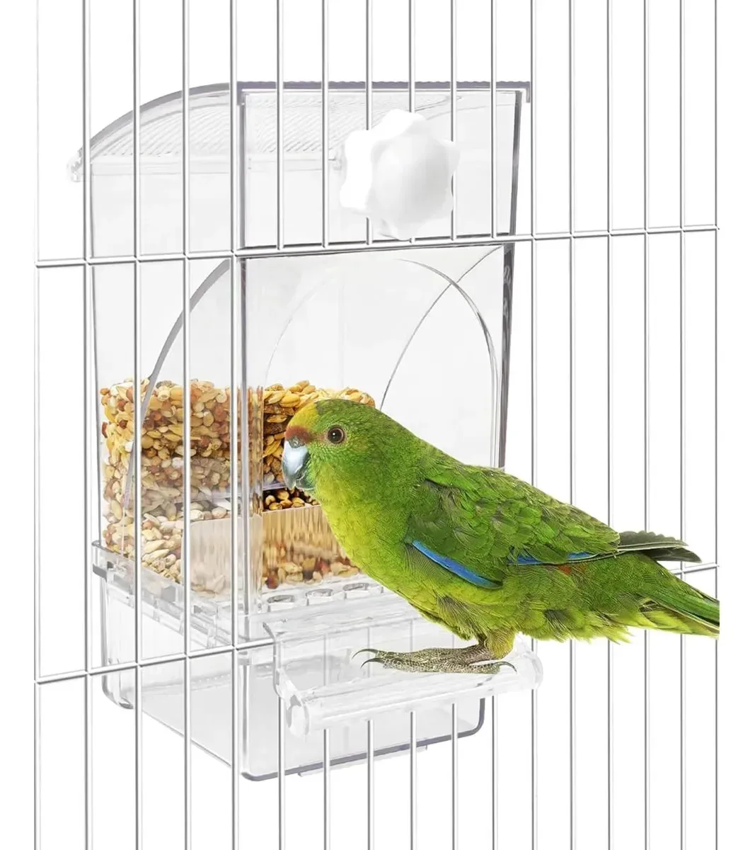 Alimentador automático para aves, sem bagunça e transparente