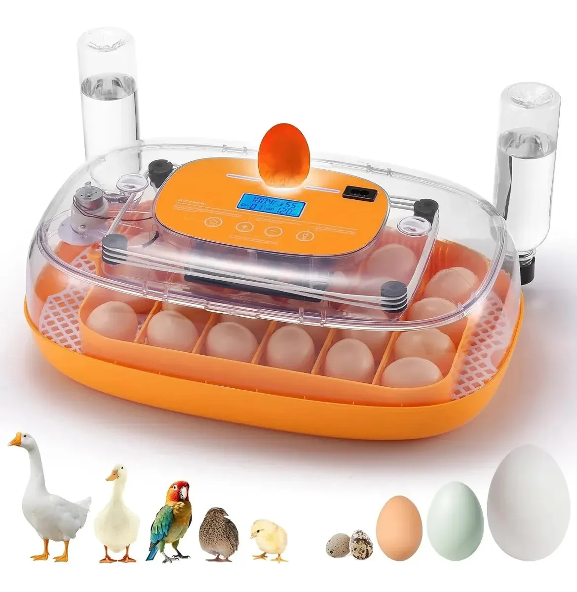Incubadora automática de ovos com controle de temperatura