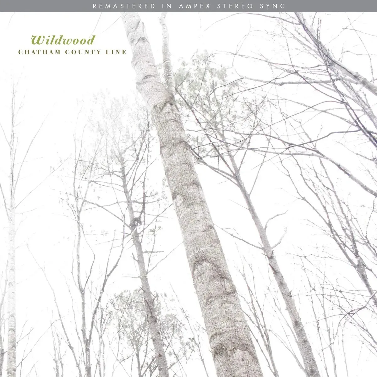 Wildwood (remasterizado) (vinil)