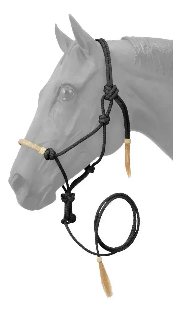 Calcanhar preto com focinho para cavalos