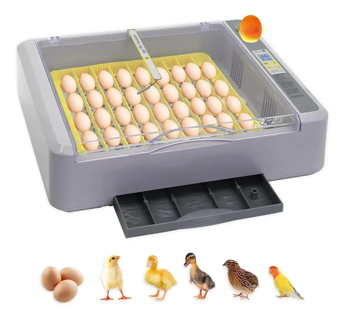 Incubadora automática de ovos com controle de temperatura e