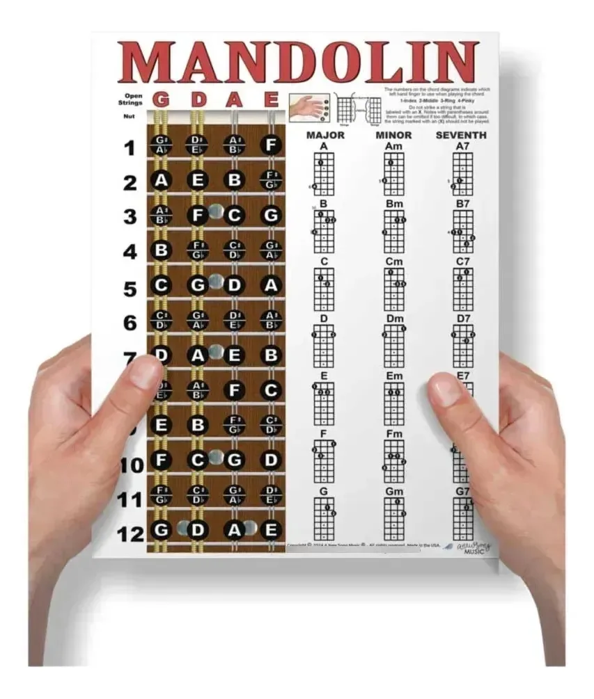 Uma nova música Music F? Tabela de acordes de bandolim laminado. Laminado clássico - 8,5 polegadas x 11