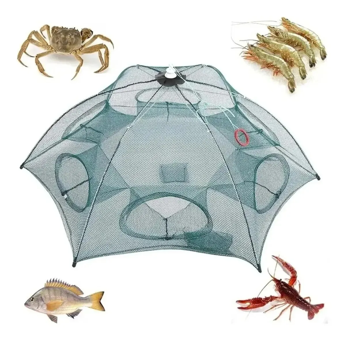 Kit 3 Armadilha Covo Retratil Isca Viva Lambaris 6 Entradas Verde