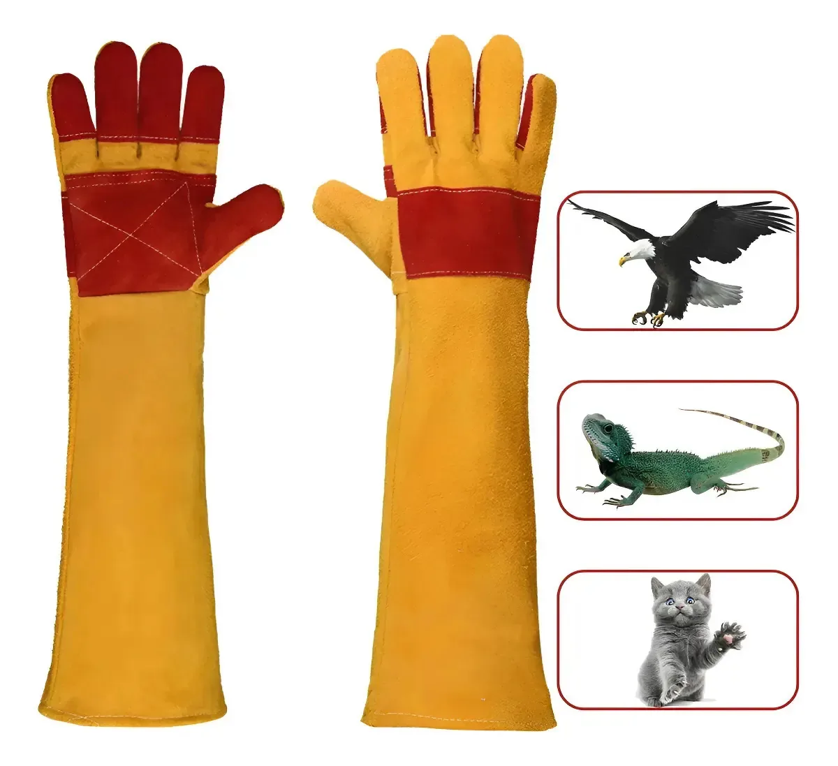 Luvas de manuseio de animais Super Long Gold anti-mordidas e arranhões