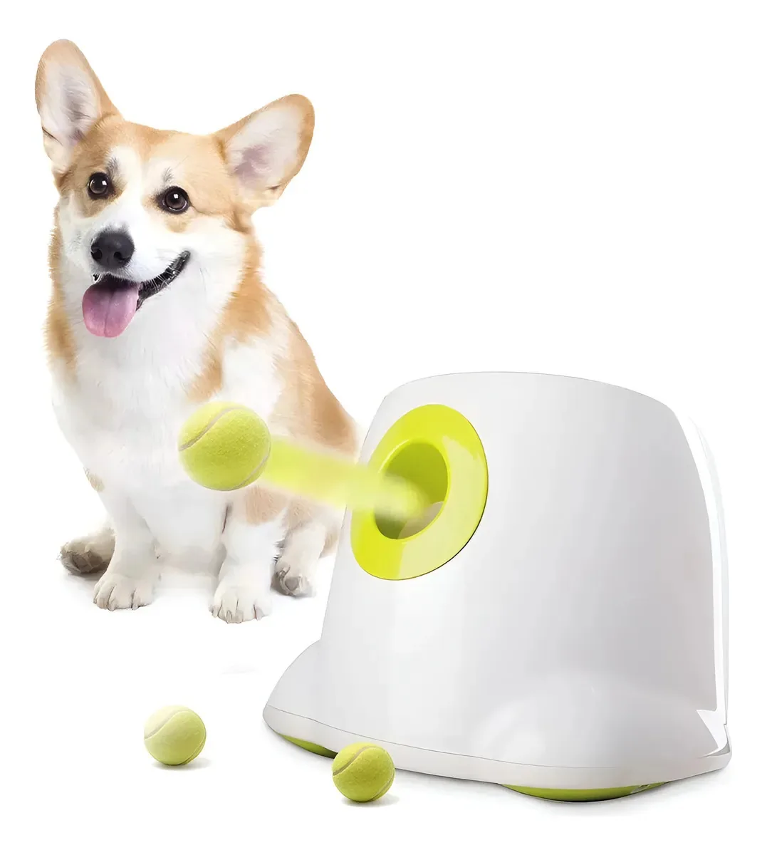 Lançador automático de bolas para cães grandes a 3 distâncias