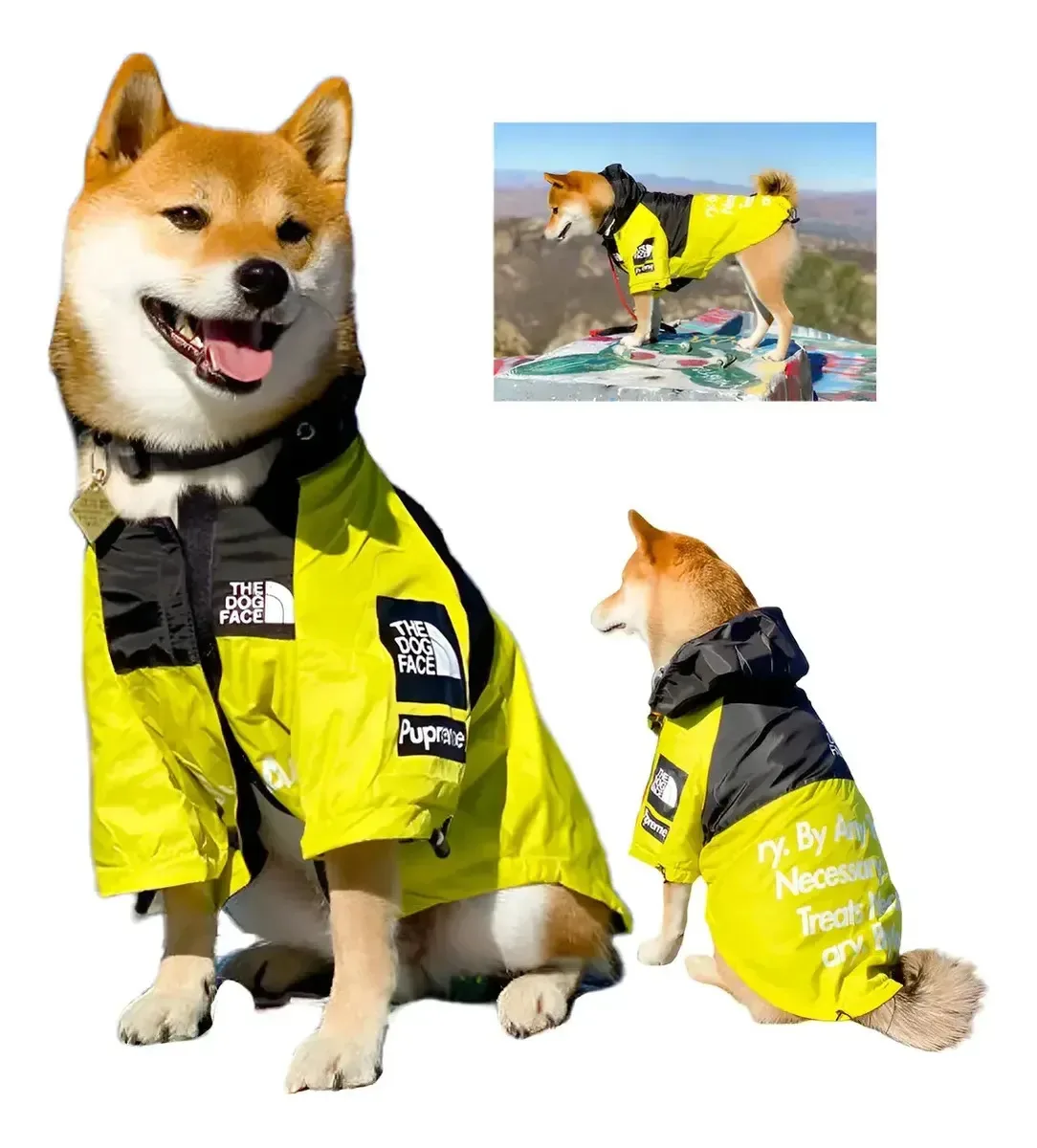 Jaqueta impermeável para cães grandes e médios amarelo/4XL