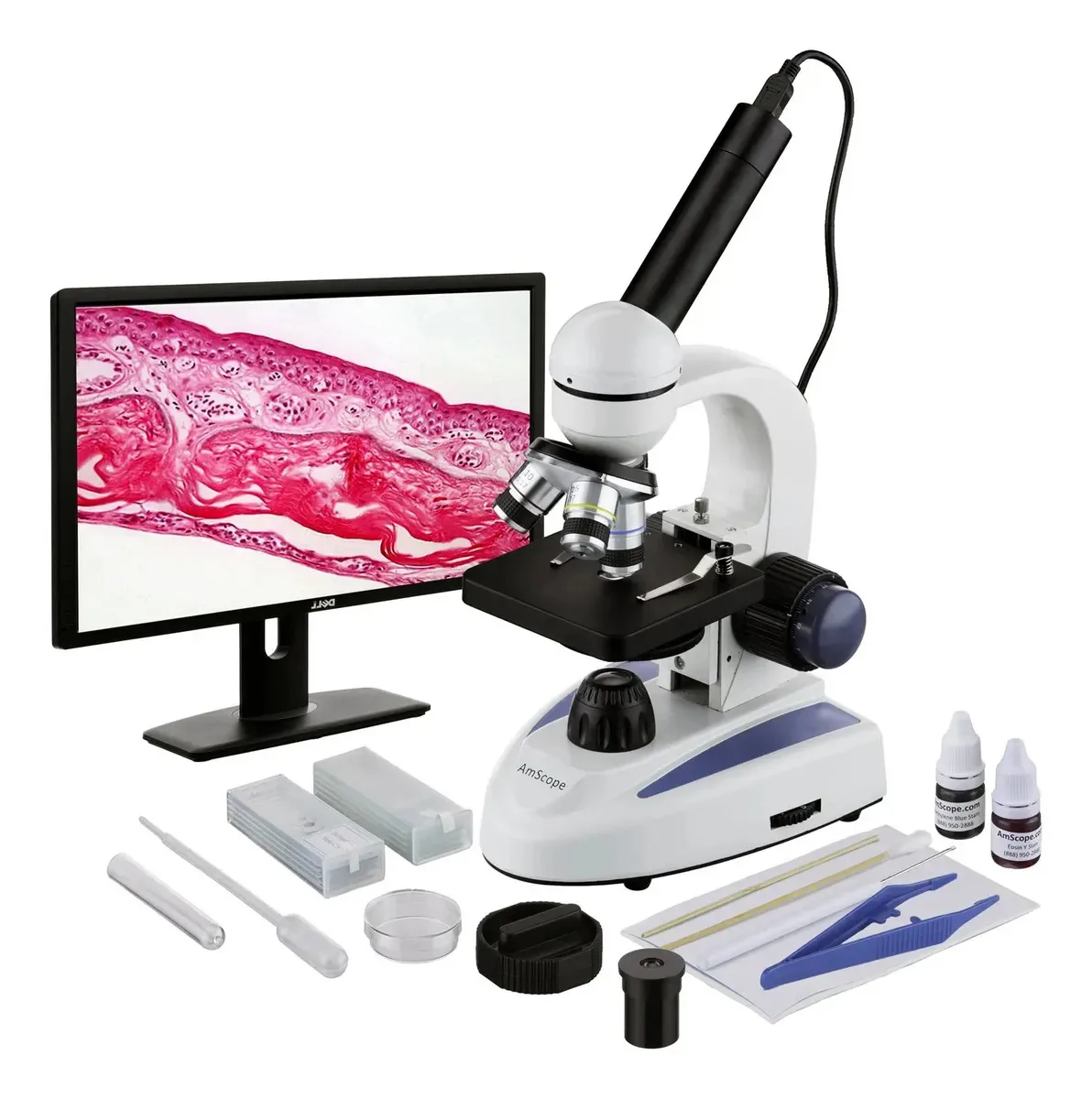 Microscópio estudantil de vidro metálico Amscope