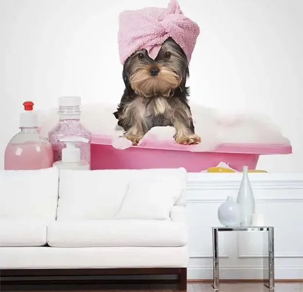 Adesivo De Parede Banho E Tosa Para Pets