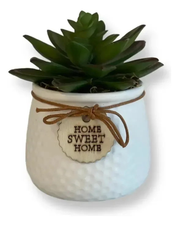 Arranjo De Suculenta Artificial Em Vaso Decorativo Elegante Branco