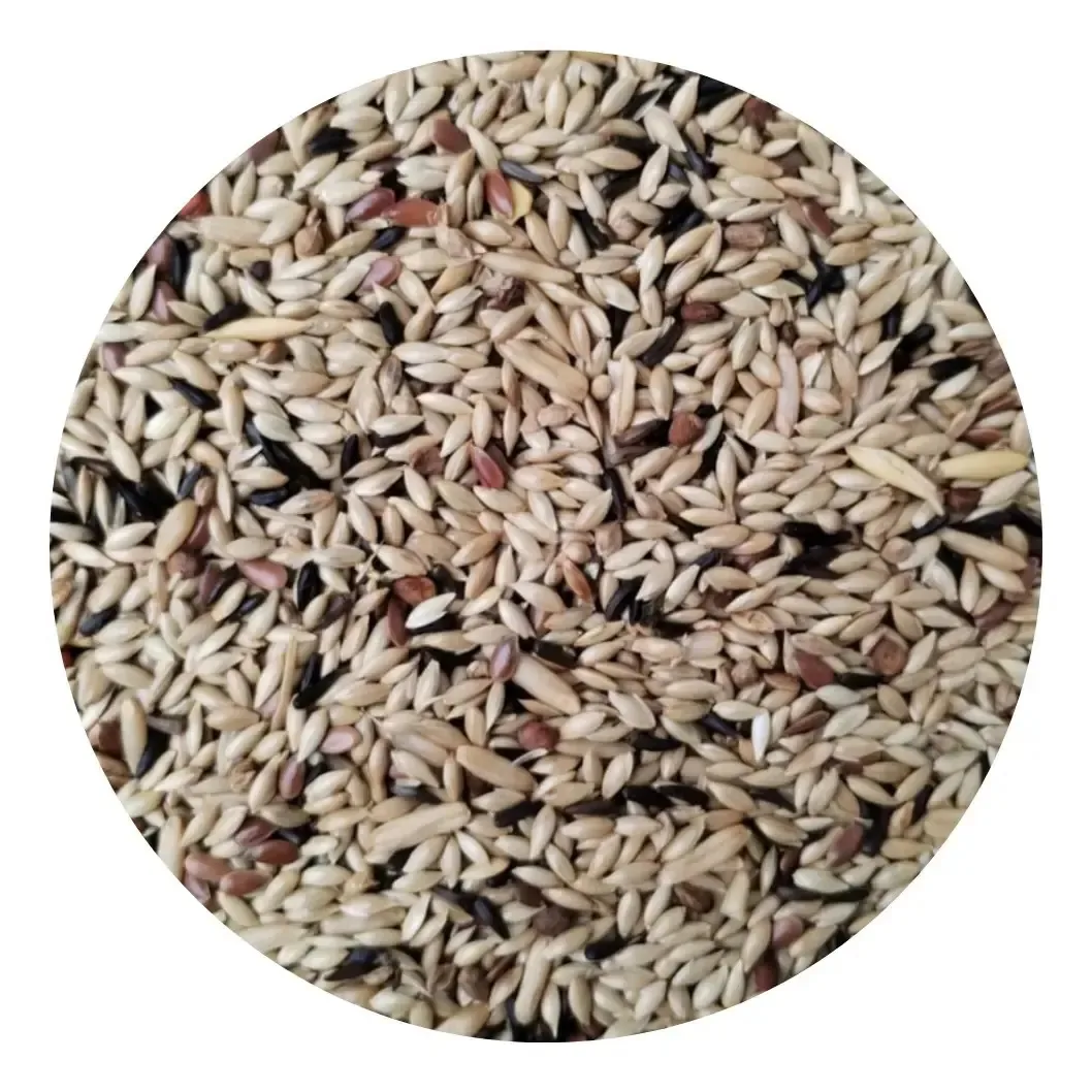 Mistura Ração Para Canário Premium 10kg