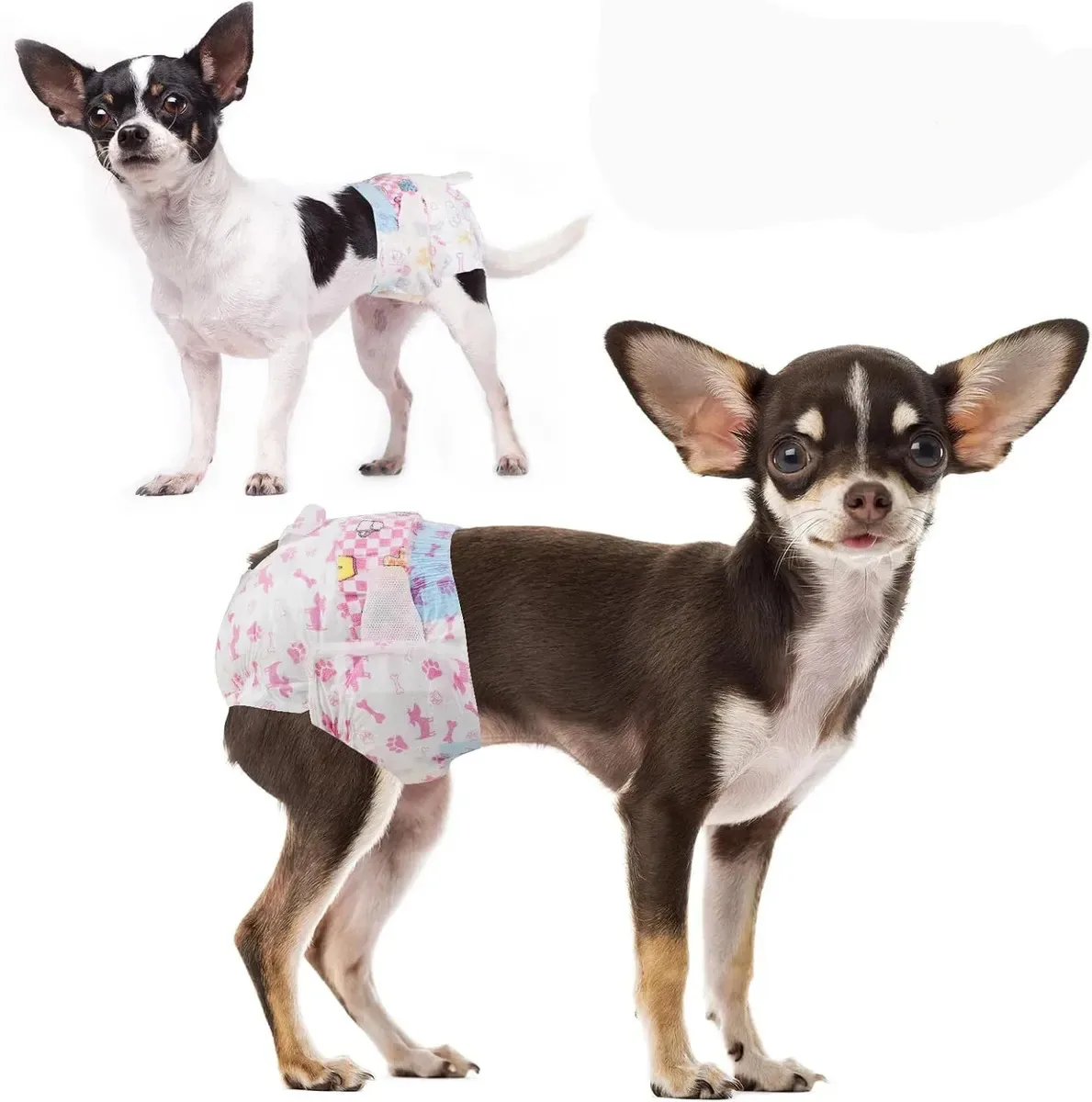20 fraldas descartáveis para animais de estimação femininas, superabsorventes, macias, fraldas para cães