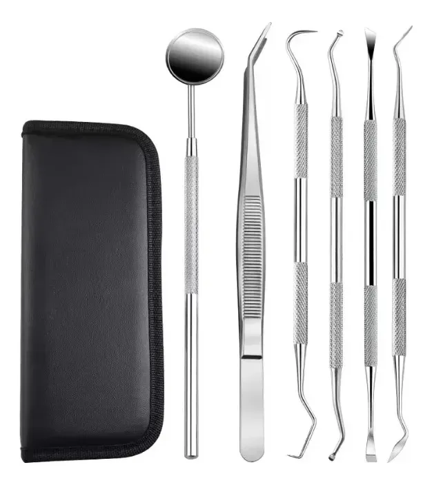 Kit Instrumentos Limpeza Dental Tártaro Odonto Higiene Estojo 6pçs