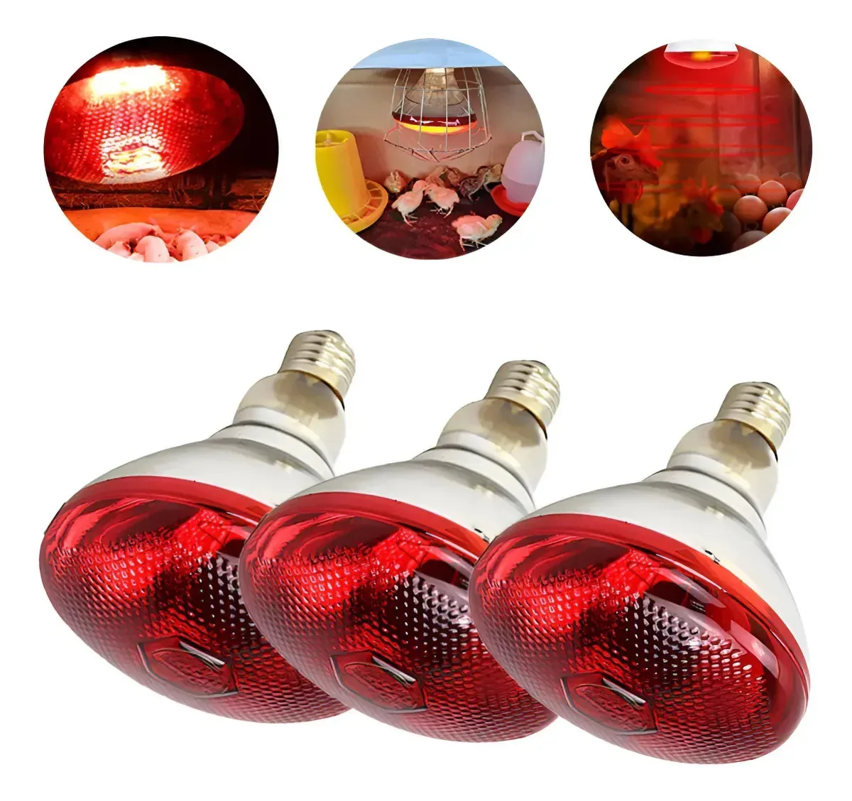 3 lâmpadas de aquecimento de aves de 100 W para M
