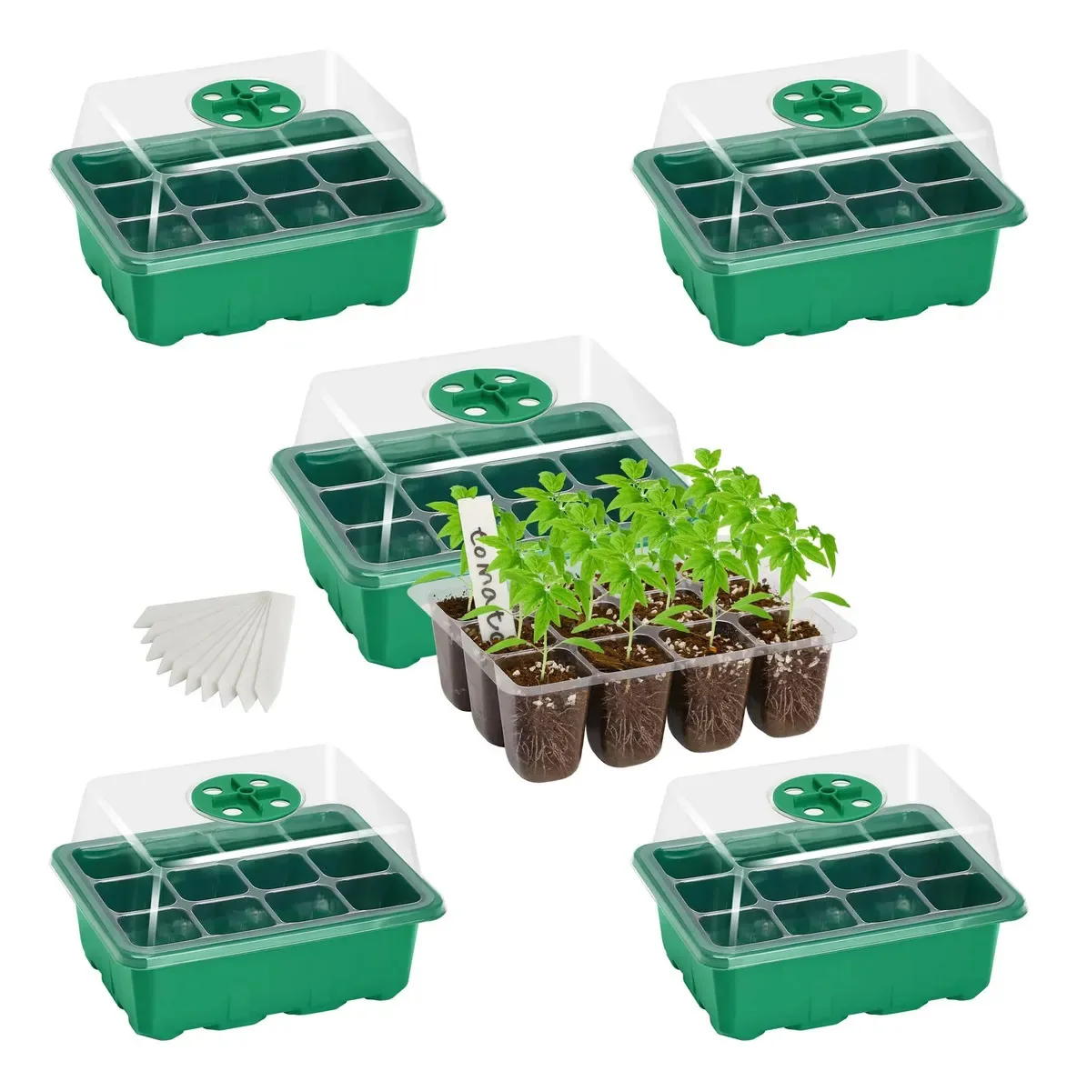Pacote Bonviee de 5 bandejas iniciais de sementes, kit