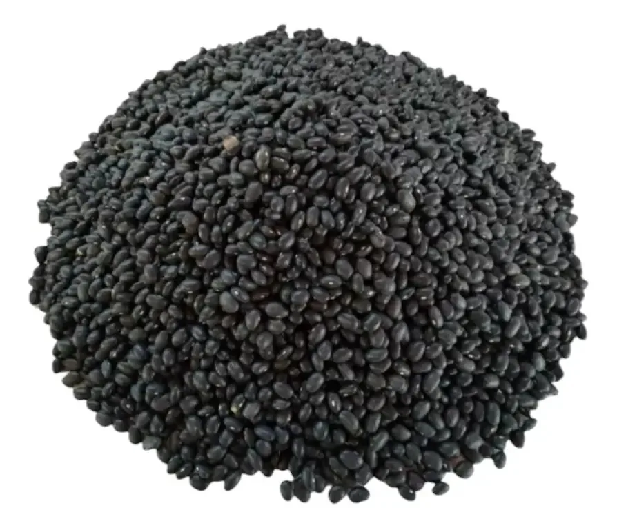 Sementes certificadas de feijão híbrido de Michigan 15 kg para semear