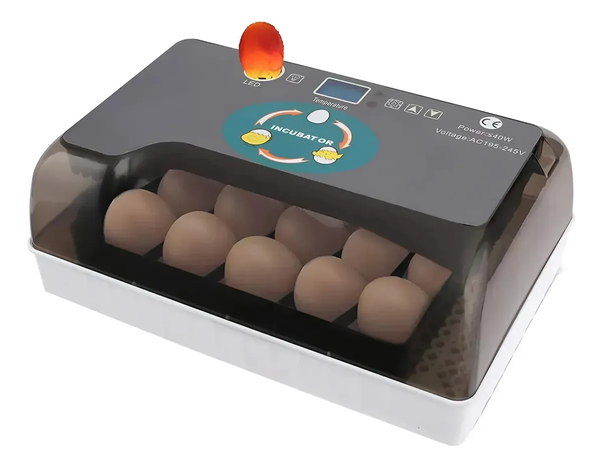 Incubadora de 12 ovos com ovoscópio giratório automático LCD
