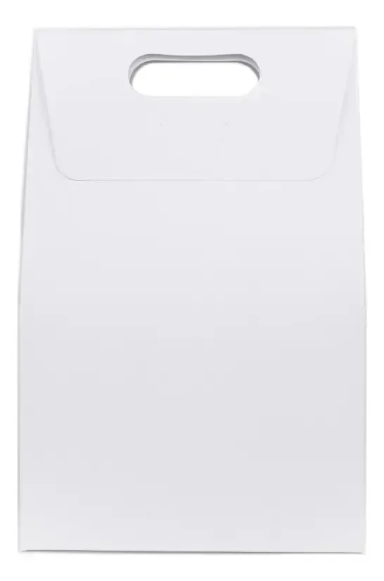Bolsa de 10 caixas para tamanho extra grande, 20x32x10, cor branca