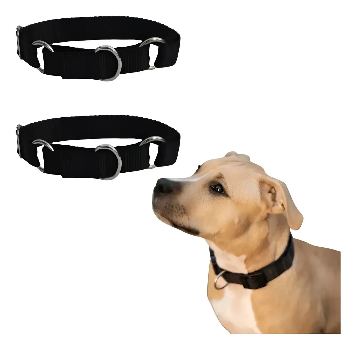 Kit Com 2 Coleiras De Pet Cachorro Porte Pequeno Não Enforca Preto Sem Desenho M