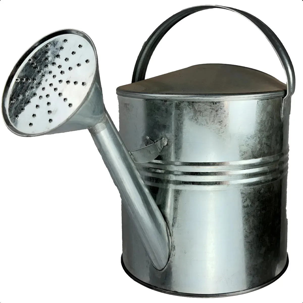 Regador Aço Galvanizado 10 Litros Arkell Prata Para Jardim E Plantas Agua