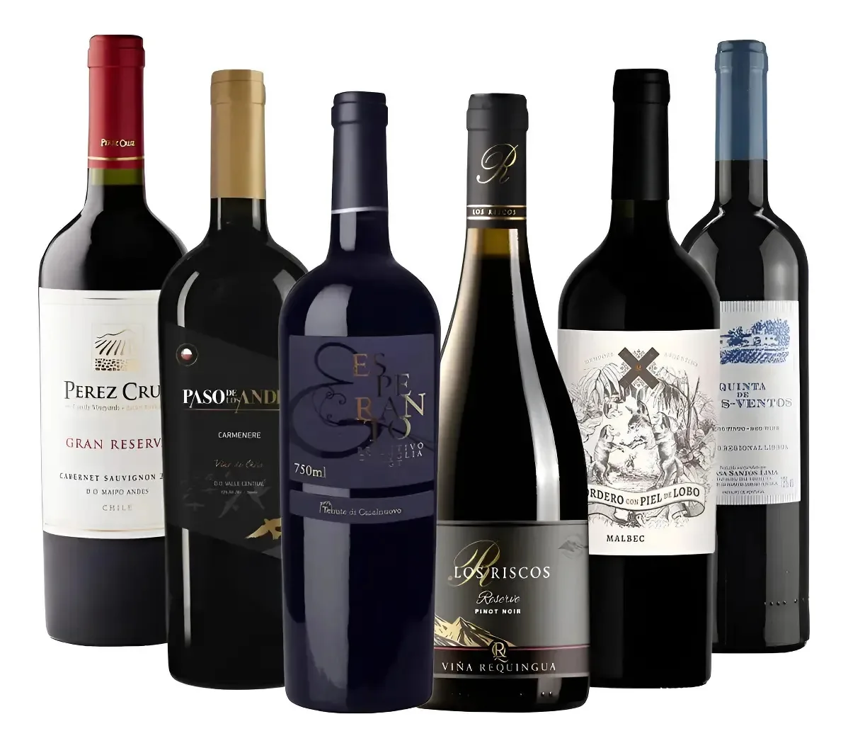 Kit 6 Vinhos Degustação 5 Uvas E 1 Blend