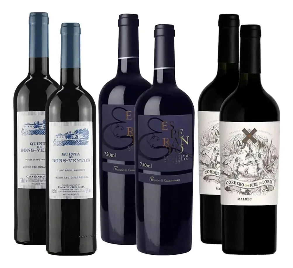 Kit 6 Vinhos Tintos Clássicos Portugal Itália Argentina