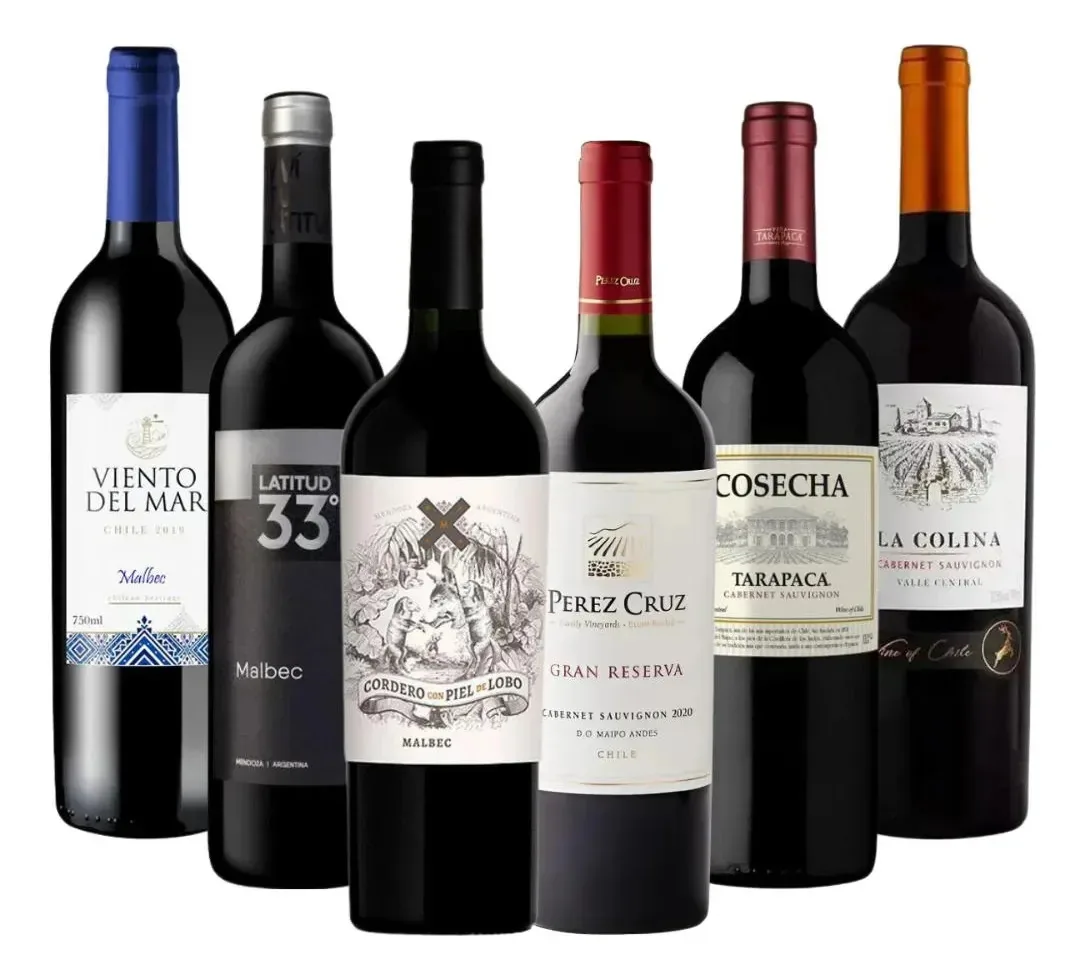 Kit 6 Vinhos Malbec & Cabernet Seleção Argentina & Chile