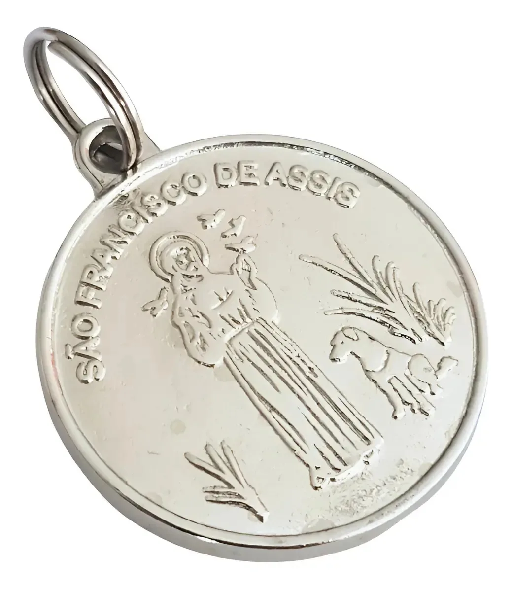 10 Pingentes São Francisco De Assis Medalhinha Bijuteria Cor Prata