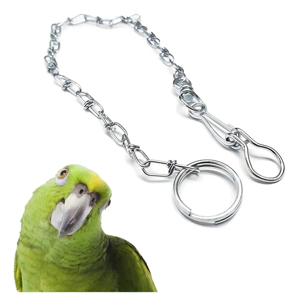 Corrente Papagaio E Aves Grande Porte Anel De Pé 40cm Prateado