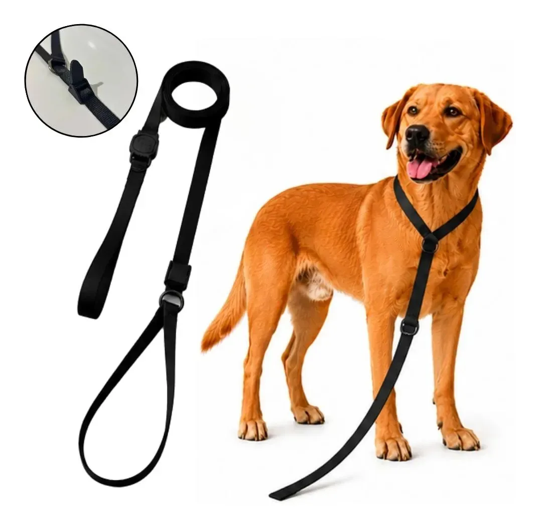 Guia Unificada Treinamento E Adestramento Antipuxão Cachorro Preto