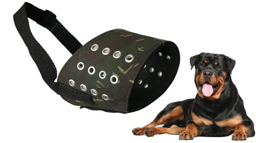 Focinheira Para Rottweiler Pit Bull Pastor Alemão Ajustável