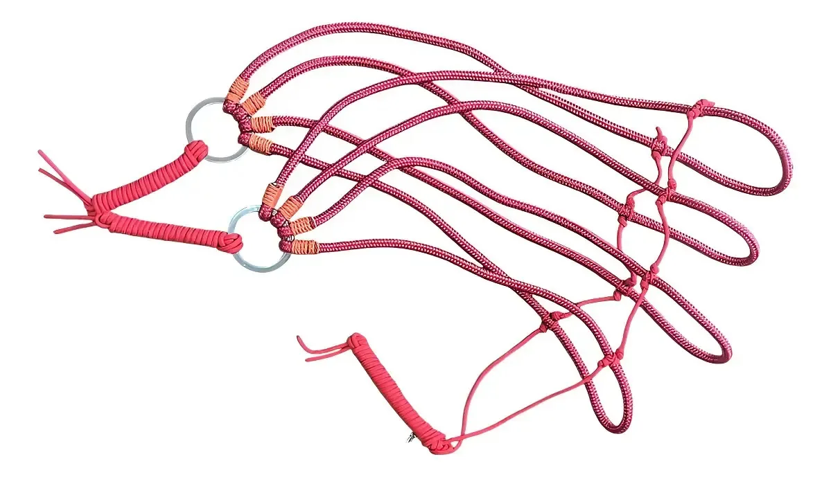 Retranca Garupeira Aranha Para Cavalos E Mulas Argolas Inox Cor Vermelho