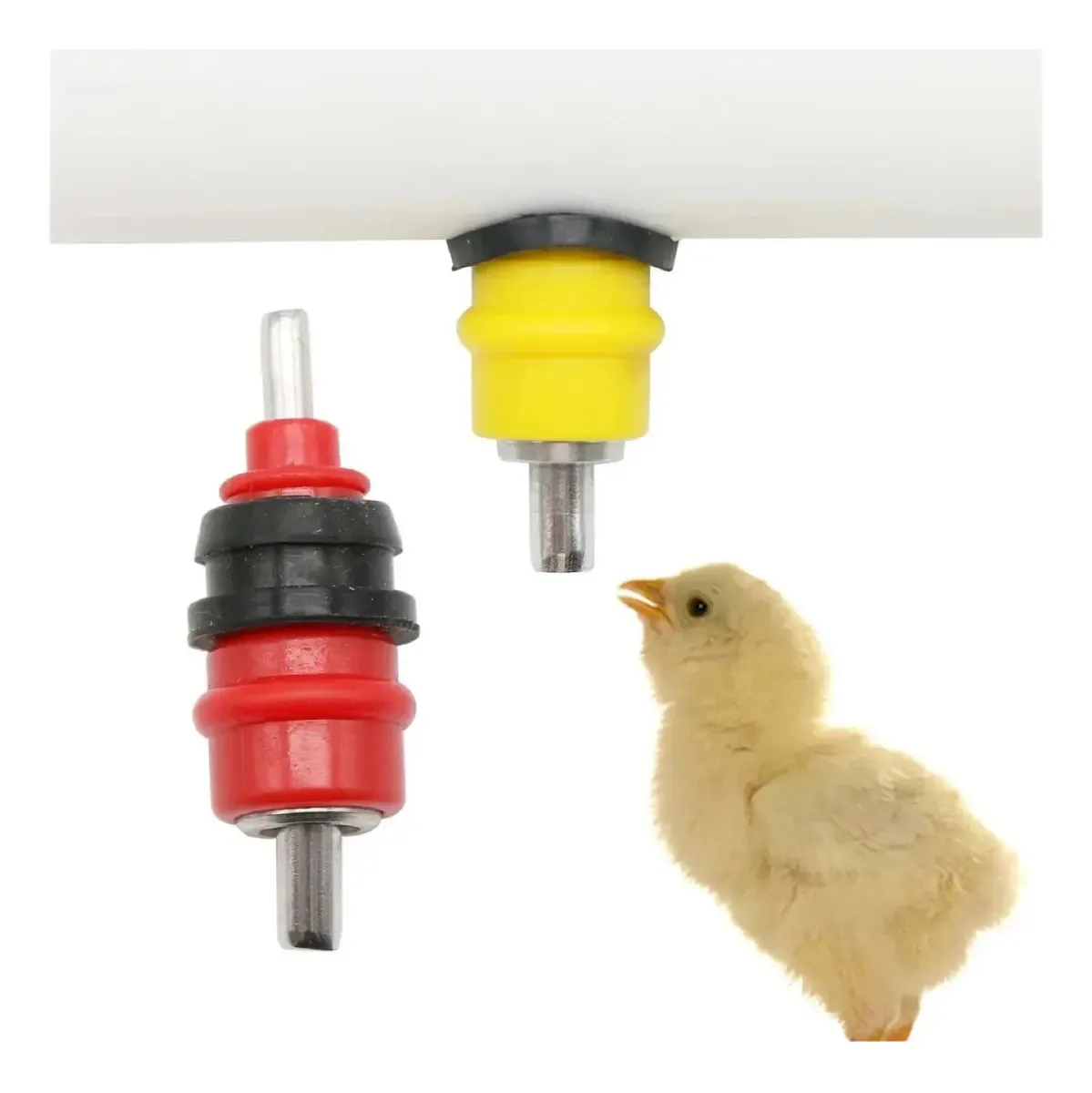 Bebedouro Automático P/ Galinhas Aves Tipo Niple - 15 Unids Vermelho