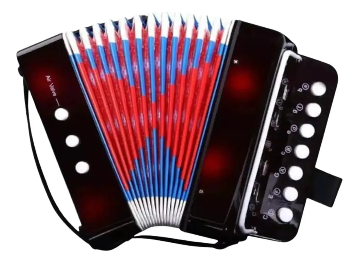 Acordeon Sanfona Gaita Acordeão Infantil Semi-profissonal Cor Preto