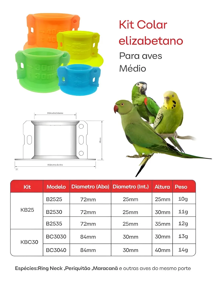Kit Colar Elizabetano Para Aves Kit Para Aves - Médio