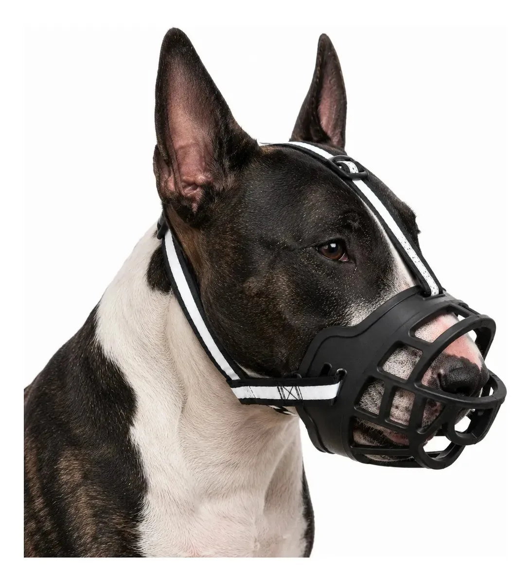 Focinheira Em Silicone Para Cães M