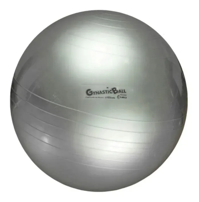 Bola Suíça Ginástica Fisioterapia Pilates Ø65cm Carci Prata Prateado