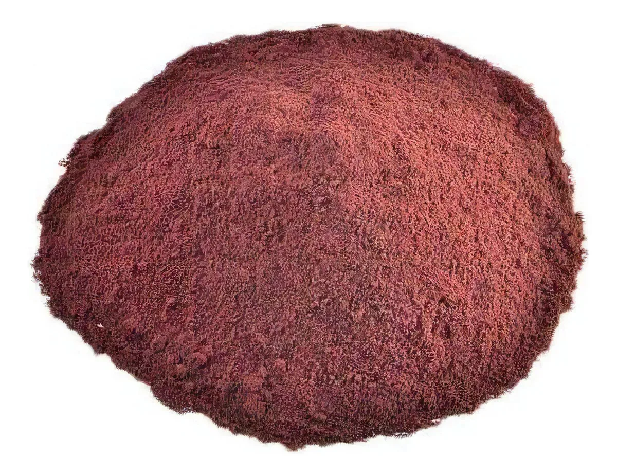 Açai em pó 100g - Casa do Naturalista