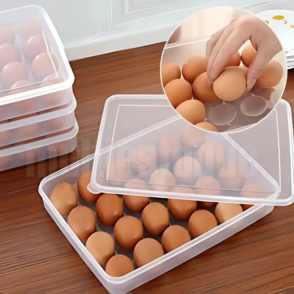 Bandeja De Ovos De Plástico 24 Compartimentos
