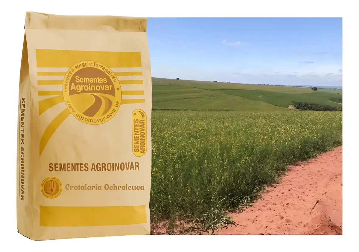 Semente De Crotalária Ochroleuca 20kg Produção De Biomassa