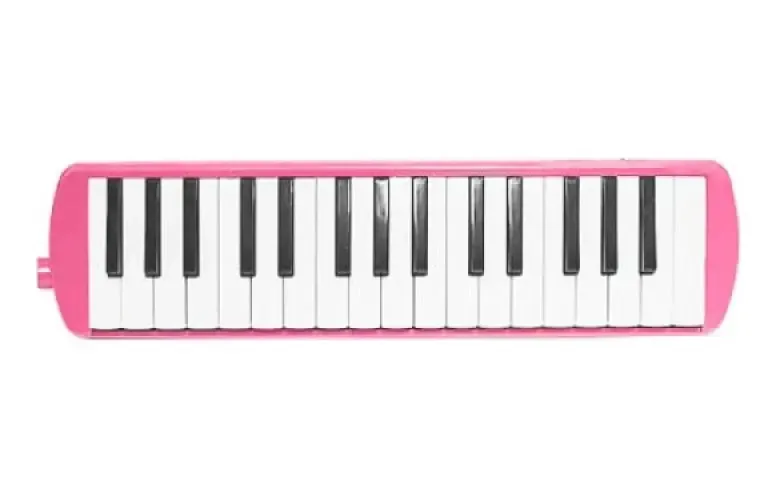 Escaleta De 32 Teclas Sm32 Stage Melódica C/bolsa Alça Rosa Rosa