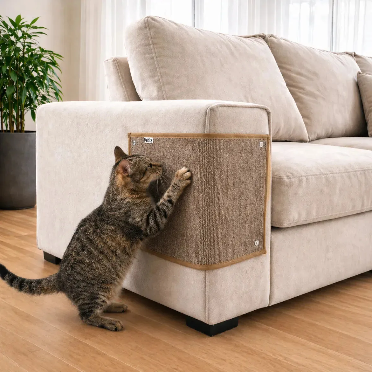 Carpete Arranhador Para Gatos Premium Bege 50x30