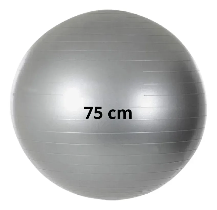 Bola Suiça Pilates Fisioterapia 75cm Yoga Gestante Funcional Cinza