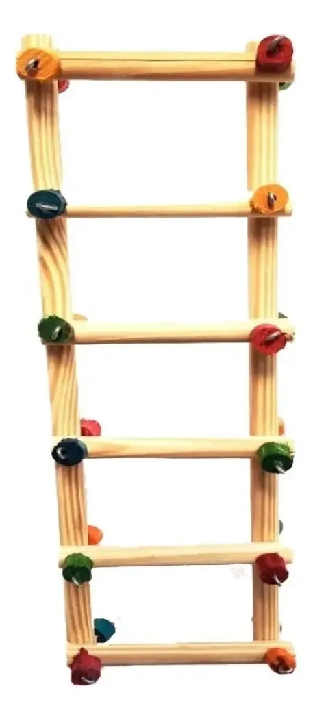 Escada Sanfonada Para Aves - Toy For Bird