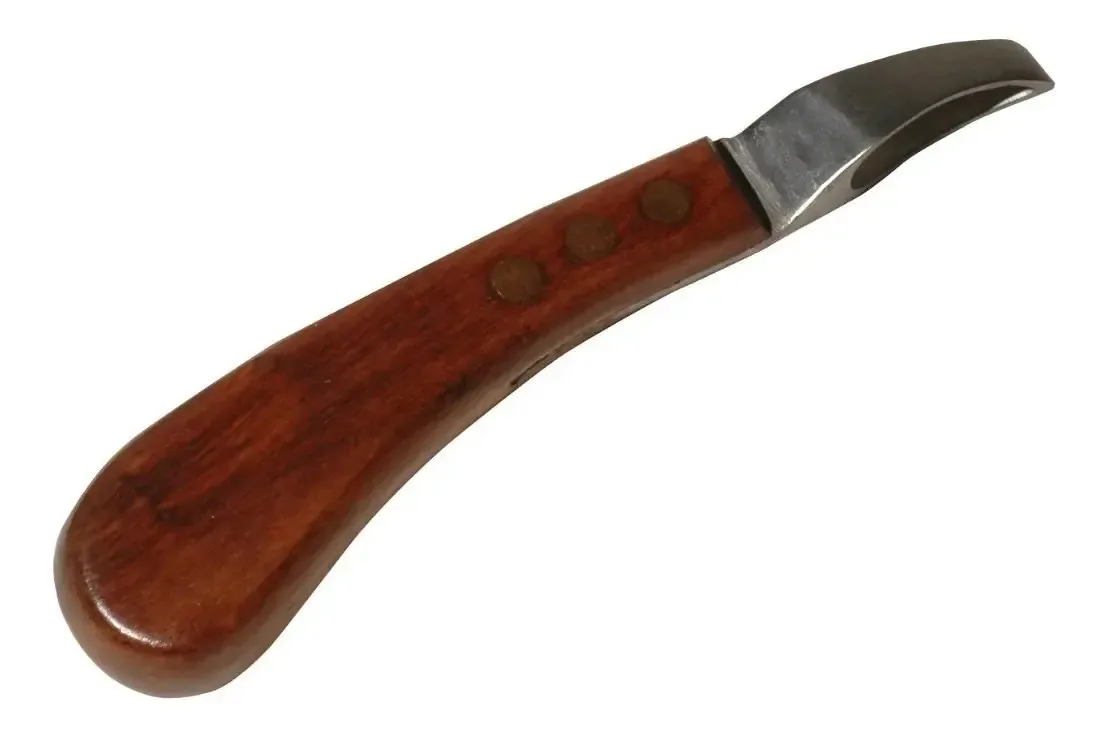 Rineta Loop Oval Grande P/ Limpar Ranilha