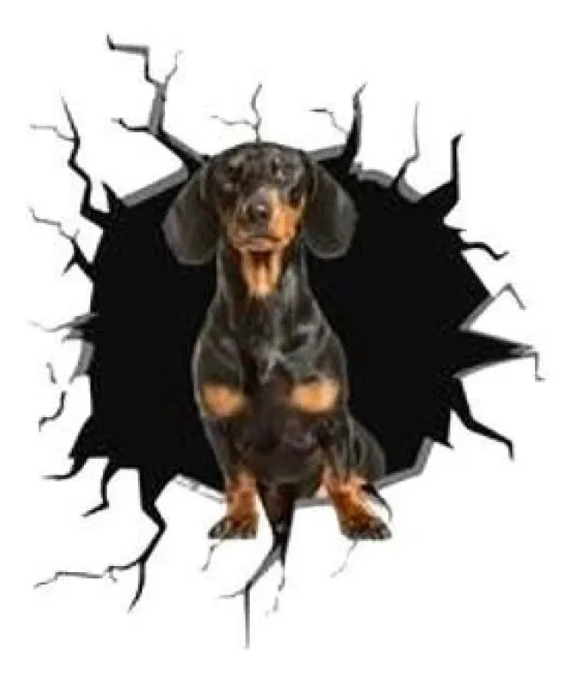 Adesivo De Carro Buraco Falso Dachshund Em Vinil