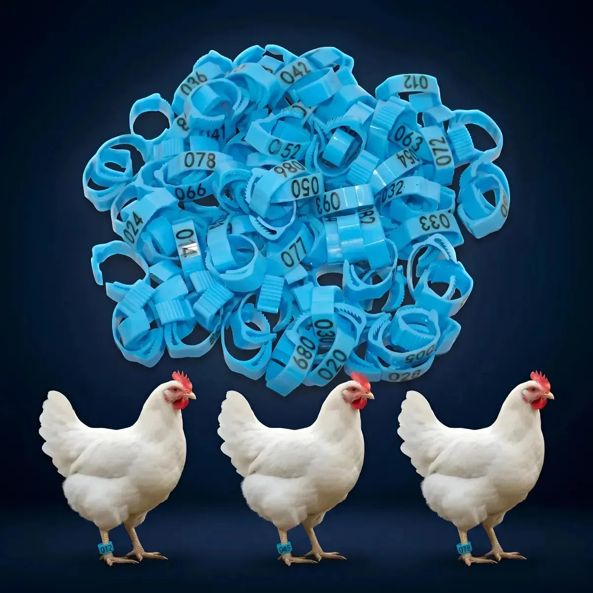 Kit 100 Anilhas Ajustáveis Numeradas Galinhas Patos Frangos Azul