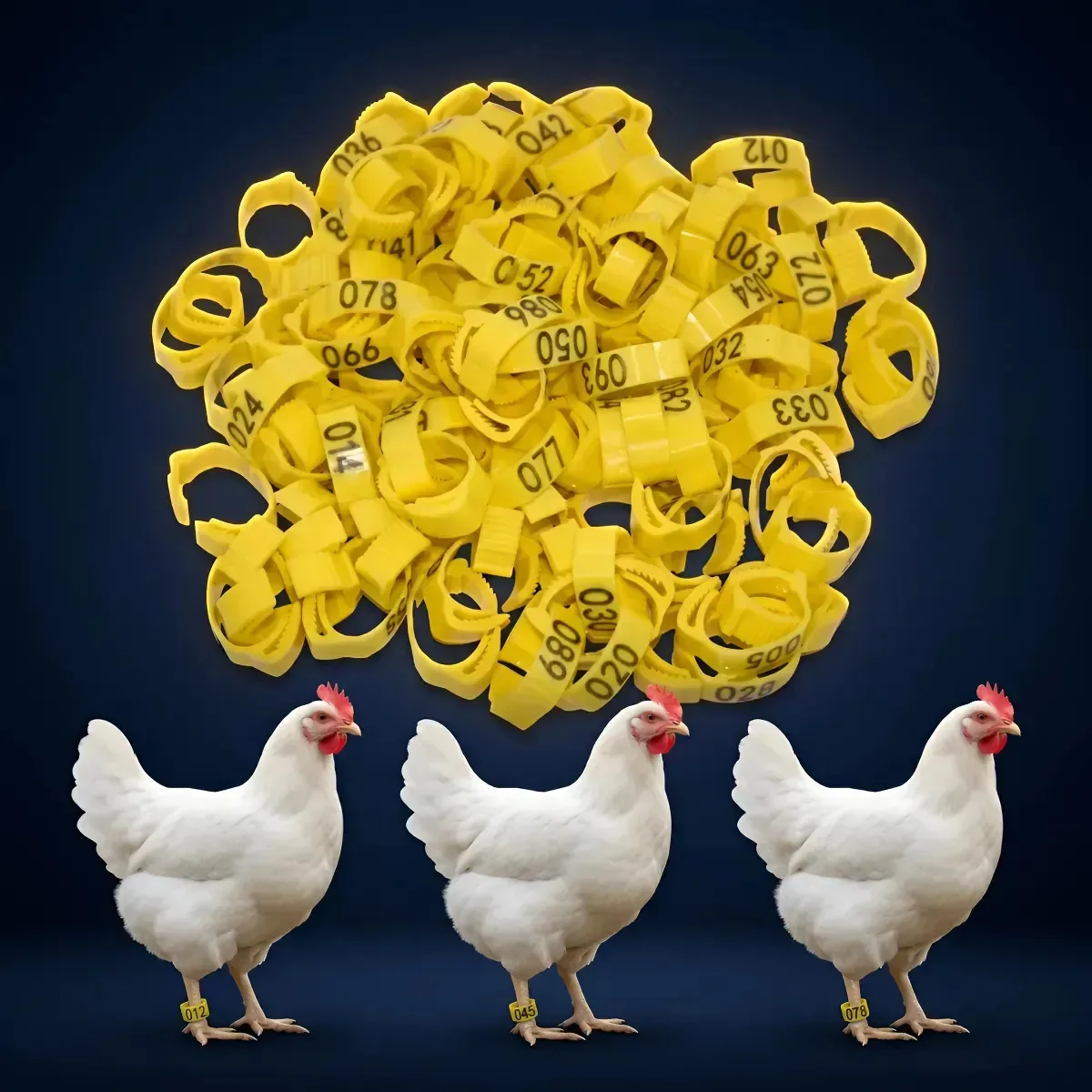 DAZZELI Anilhas Numeradas Ajustáveis - Amarelo